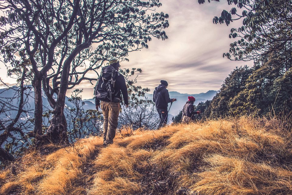 Group of hikers walking on an autumn trail