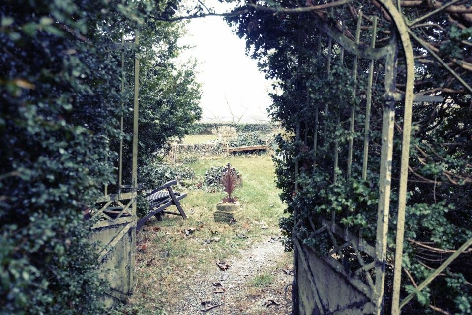 Garden gate opening onto a leafy backyard path