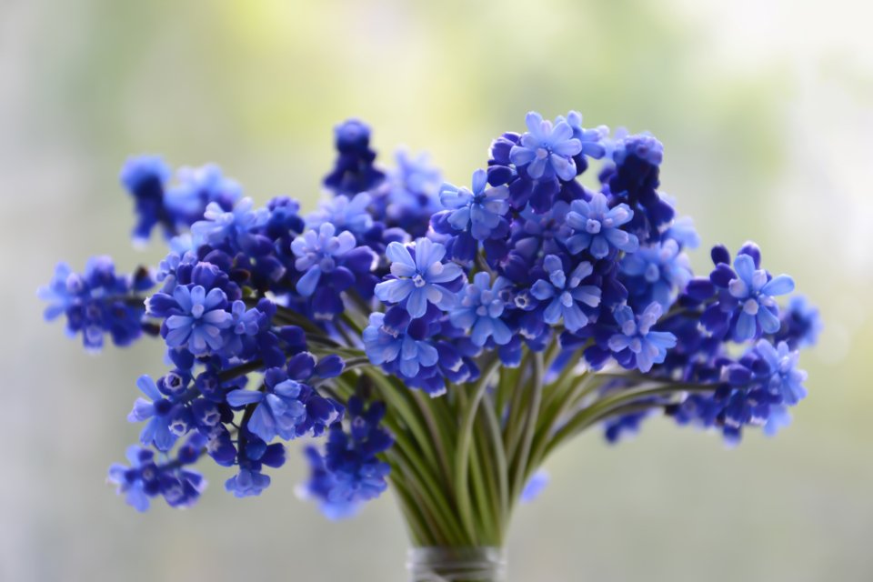 Best floral perfumes inspired by a pink flower bouquet