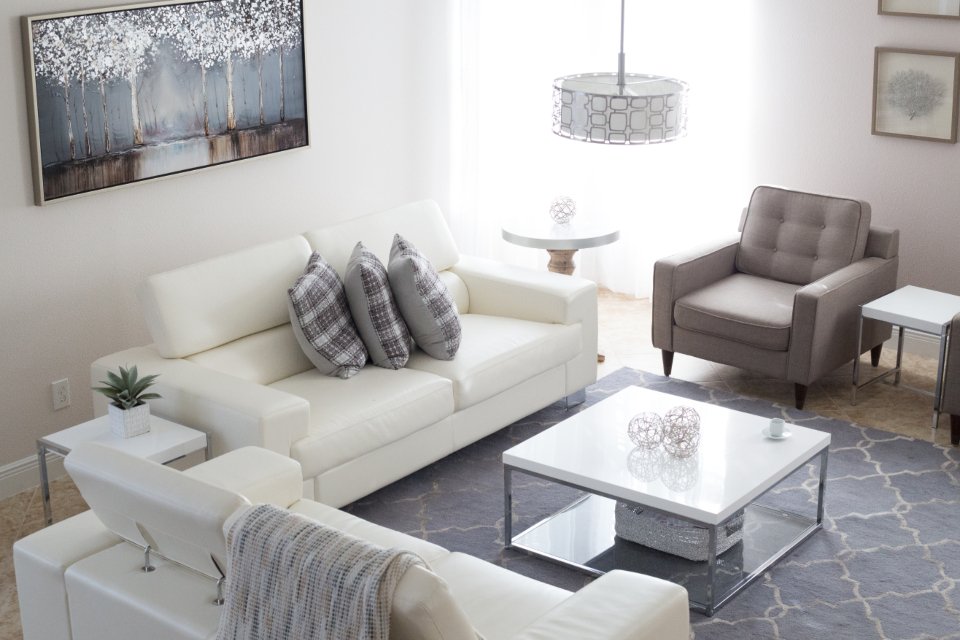 Bright living room with a gray rug and white sofa
