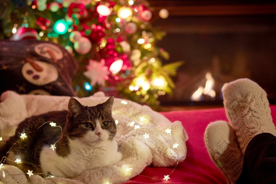 Cosy Christmas evening by the fire, perfect for the best Christmas movies