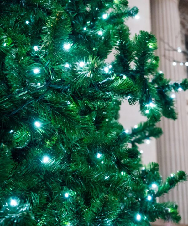 Christmas tree lights city building