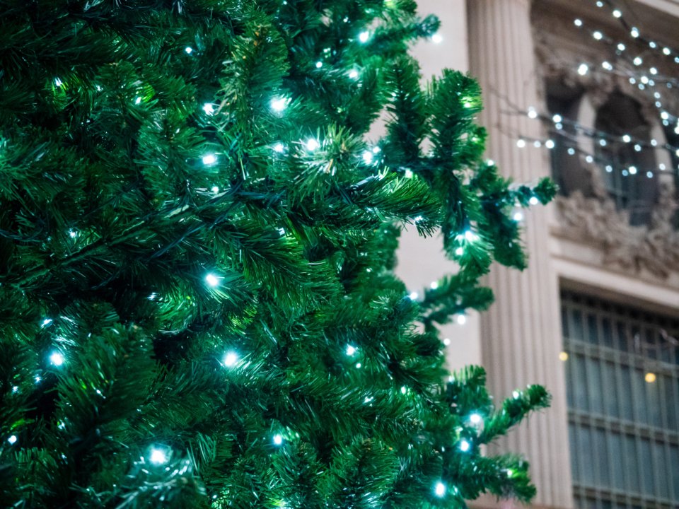 Christmas tree lights city building