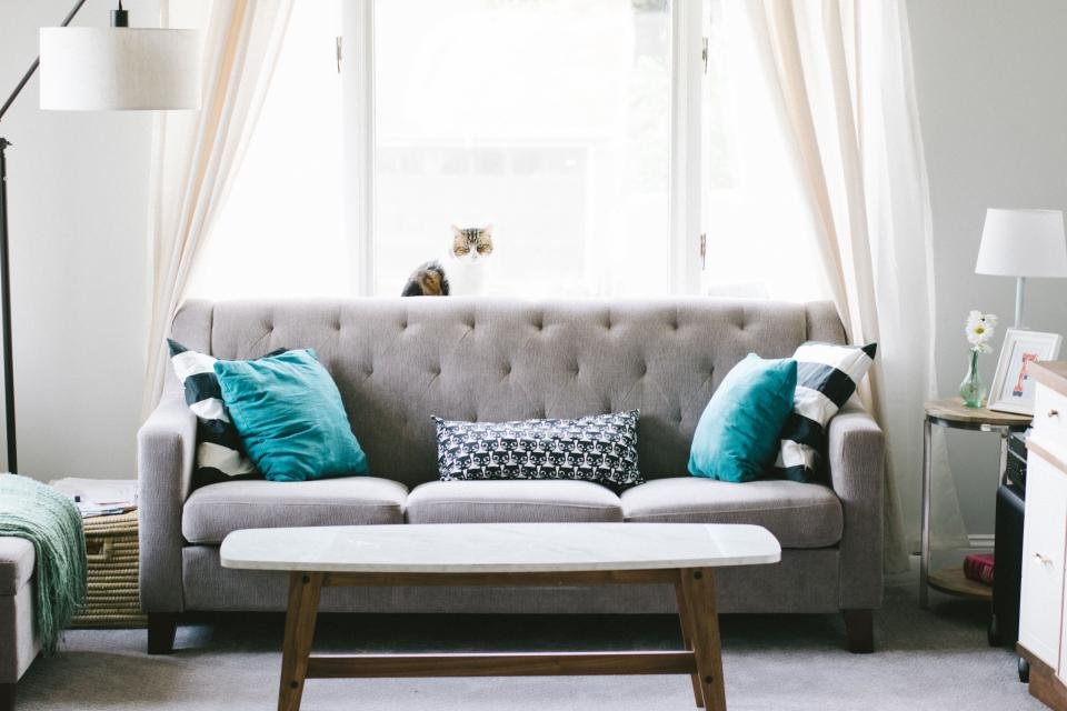 Cordless vacuums keep a bright living room with a sofa clean