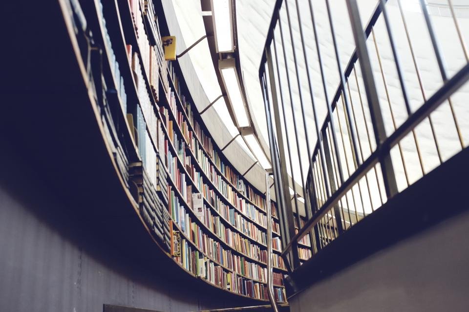 Curved library bookshelves holding the best fantasy books
