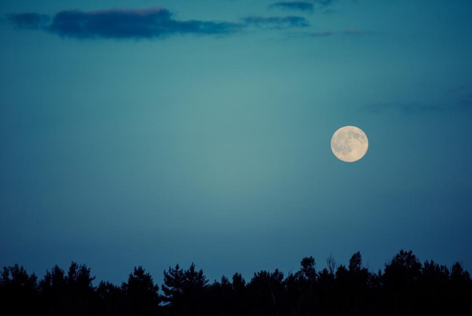 Full moon rising over a forest, the main influence in a daily horoscope
