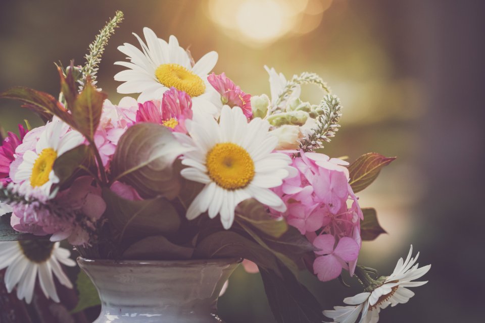 Daisy bouquet beside birthday gifts for mom