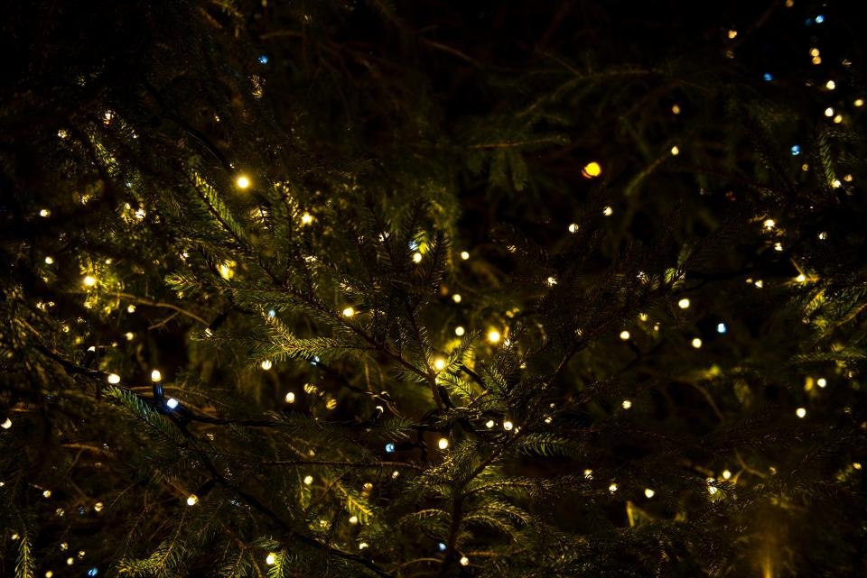 Twinkling holiday tree lights for the December 2026 horoscope
