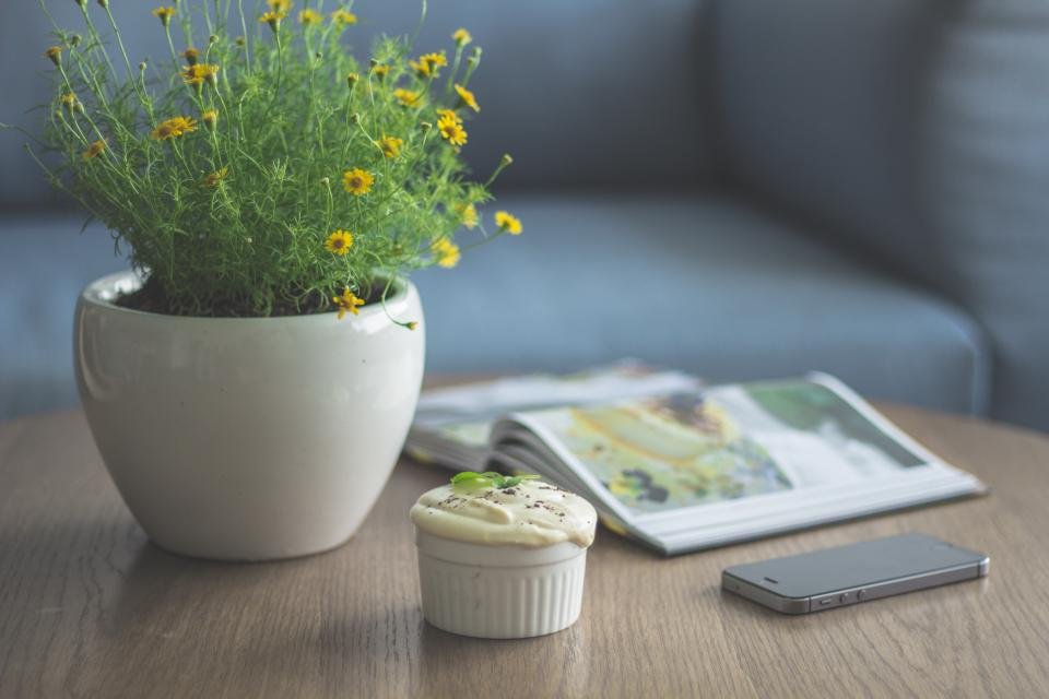 Flowering houseplant on a living room table