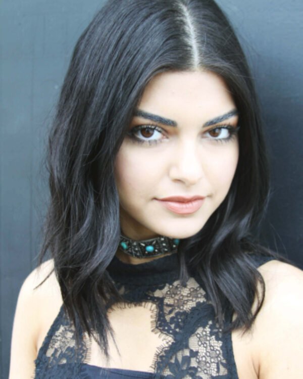 Hair brush glossy dark hair