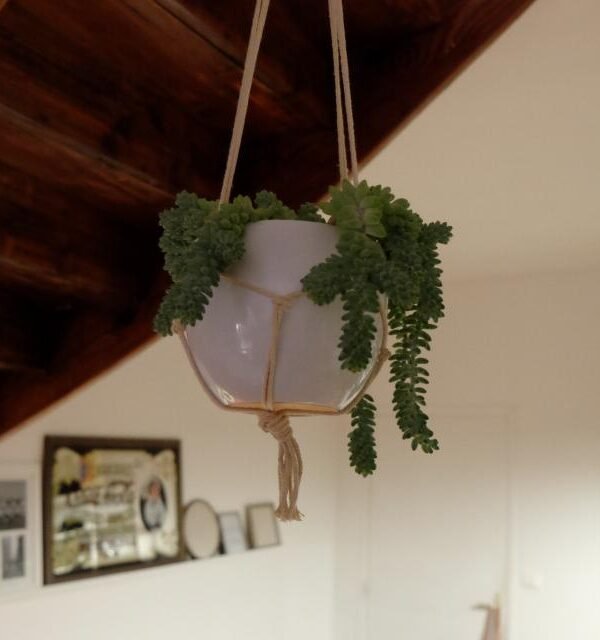 Hanging plant pot