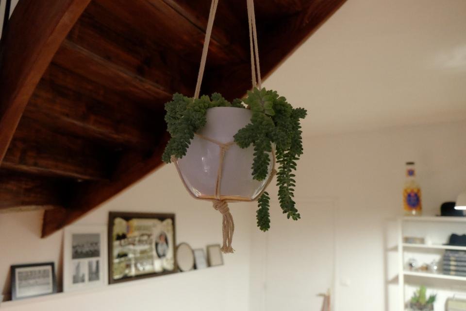 Hanging plant pot
