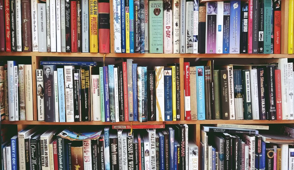 Bookshelf filled with history and biography books