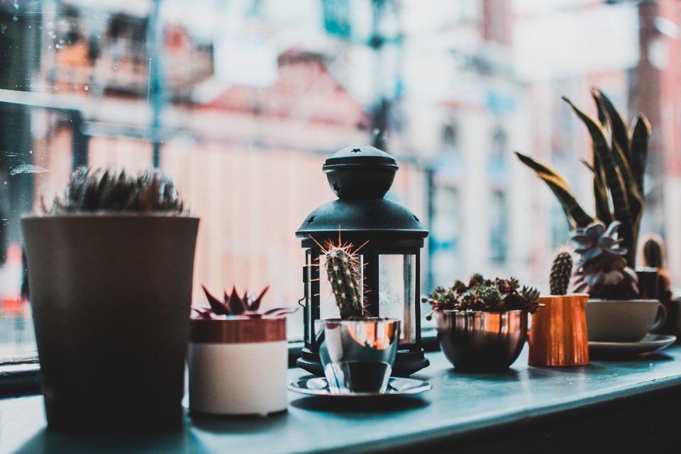 Lantern and potted plants on a sunny outdoor ledge