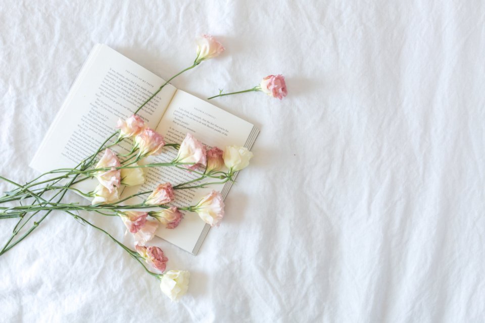 Open romance novel with pink carnations on white bed linen