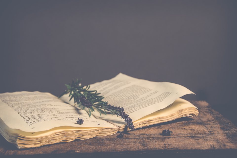 Shelf of antique books for historical fiction readers
