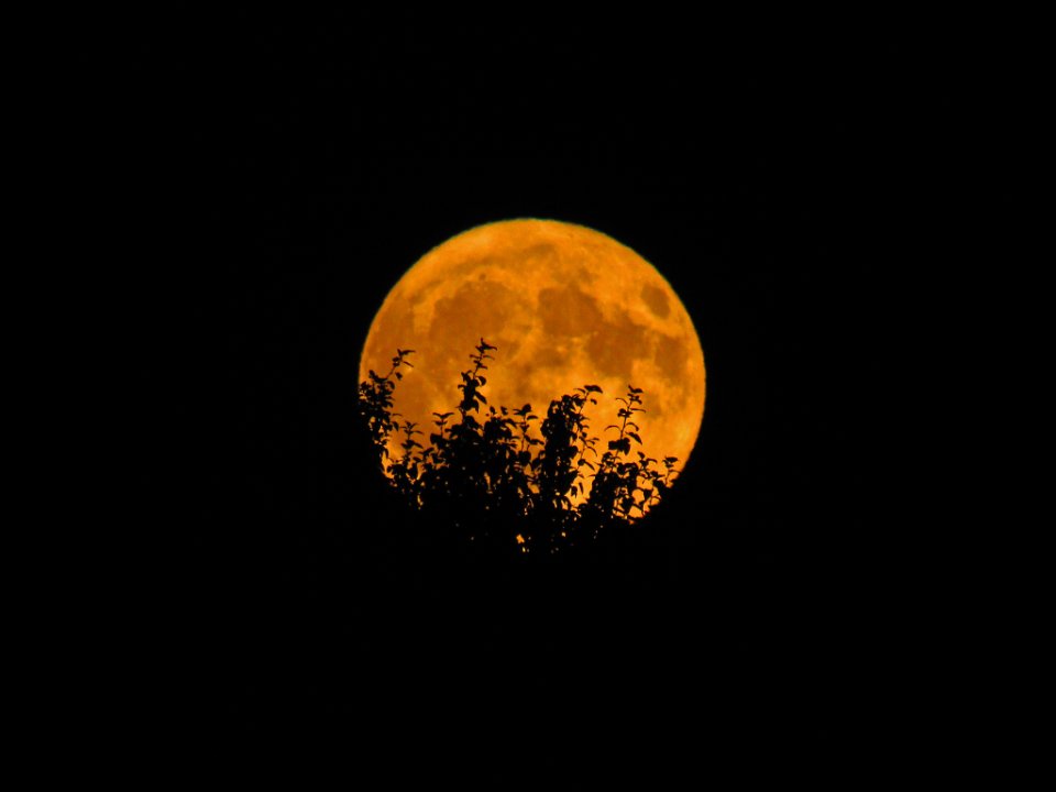 Orange full moon symbolizing passionate Scorpio compatibility