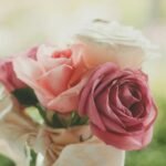 Pink roses bouquet soft light