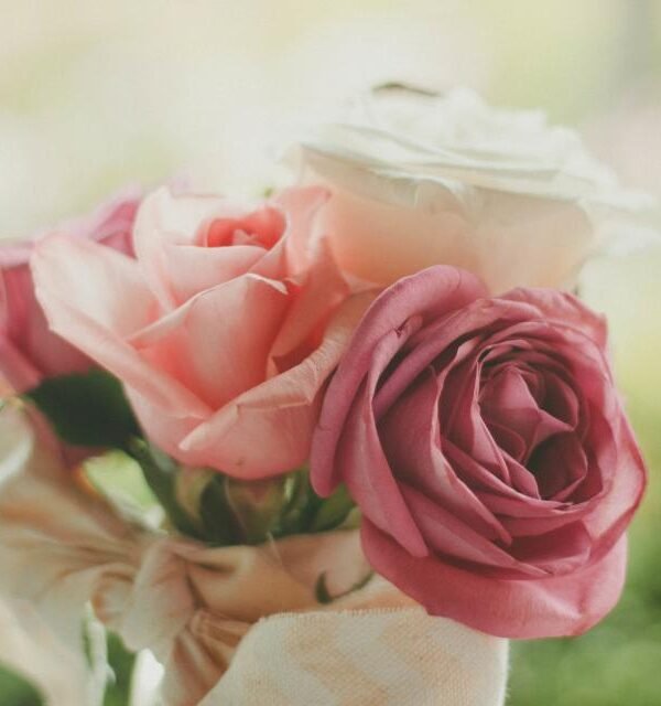 Pink roses bouquet soft light