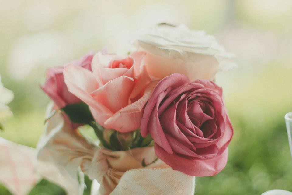 Pink roses representing romantic floral niche perfumes