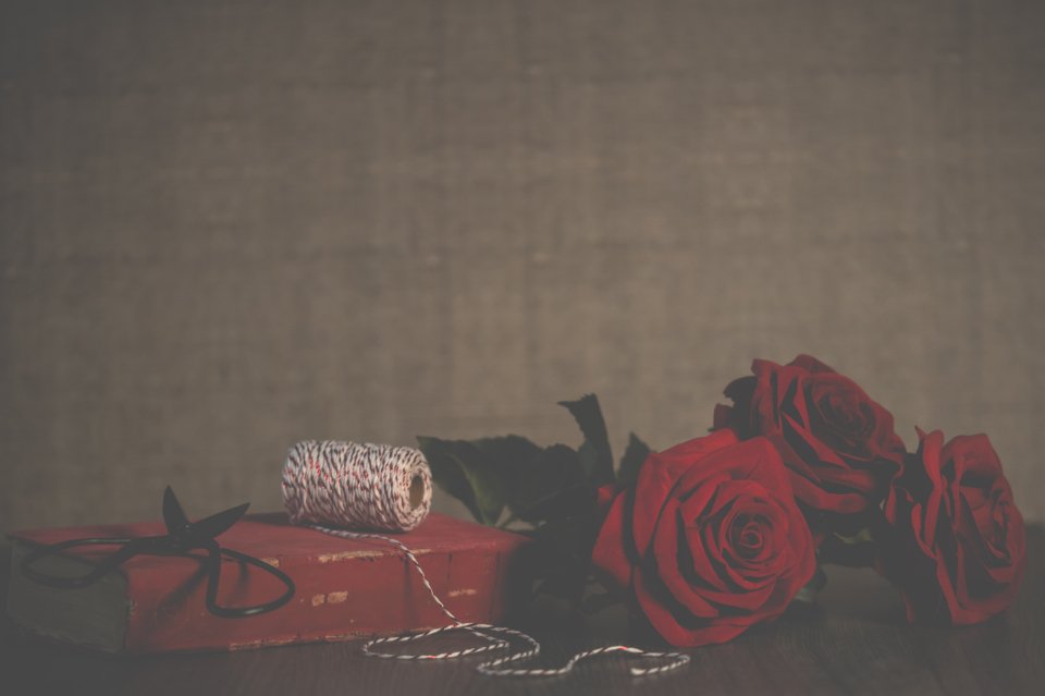 Best romance novels with red roses for a cosy reading night