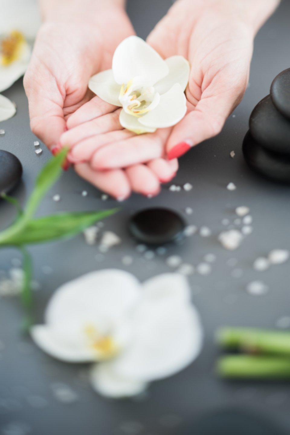 Spa manicure with hands and stones, showing the best cuticle oils routine