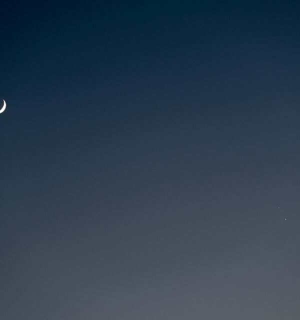 Weekly horoscope nov crescent moon