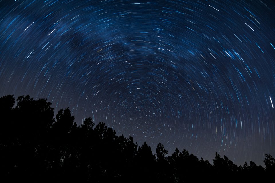 Star trails circling above a dark tree line at night