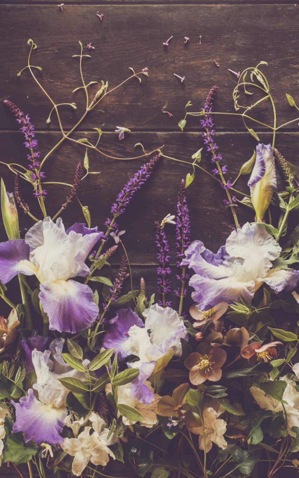 Purple iris and lavender still life for international women's day